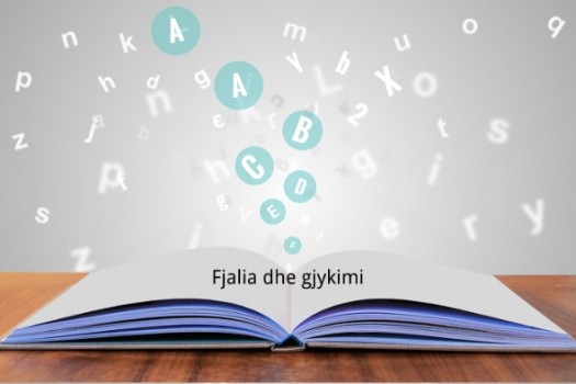 Program per drejtshkrim e gjuhes shqipe